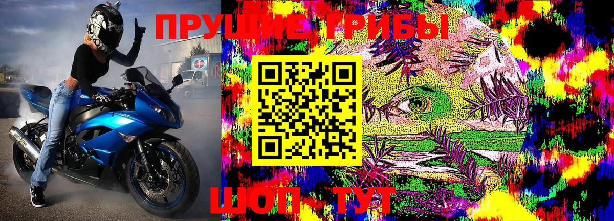 Псилоцибиновые грибы MAGIC MUSHROOMS Волхов