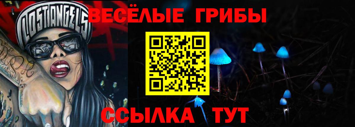 Галлюциногенные грибы прущие грибы  Вход с VPN  Волхов  Псилоцибиновые грибы Psilocybine cubensis 