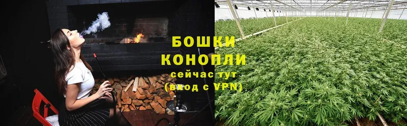 Шишки марихуана ГИДРОПОН  где продают   Волхов 